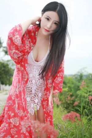 长安道在线观看完整版免费