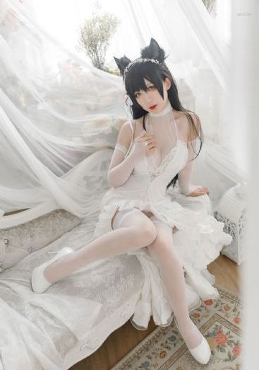天天网
